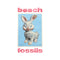 Beach Fossils - Bunny (Vinyle Neuf)