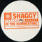 Shaggy / Rayvon - In The Summertime (Vinyle Usagé)