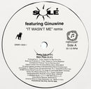 Sole - It Wasn't Me (Remix) (Vinyle Usagé)