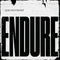 Special Interest - Endure (Indie) (Vinyle Neuf)