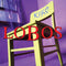 Los Lobos - Kiko (Vinyle Neuf)