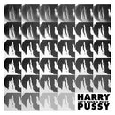 Harry Pussy - Lets Build A Pussy (Vinyle Neuf)