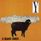Y (6) - A Black Sheep Is Still A Sheep (45-Tours Usagé)