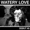 Watery Love - Debut 45 (45-Tours Usagé)