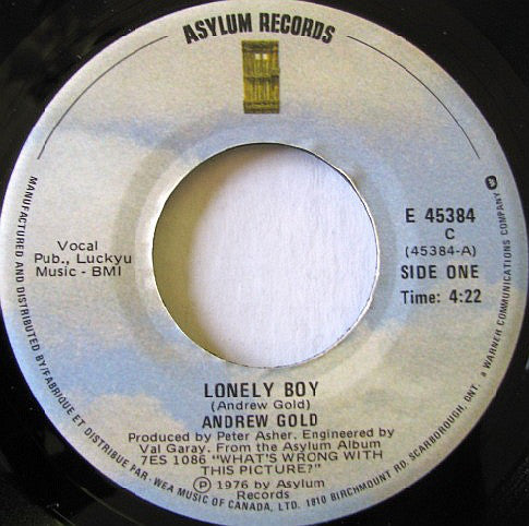 Bobby Christian With The Allen Sisters - The Spider And The Fly (45-Tours Usagé) main image 0