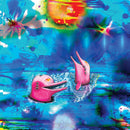 Anteloper - Pink Dolphins (Vinyle Neuf)