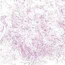 Tom Skinner - Voices Of Bishara (Vinyle Neuf)