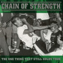 Chain Of Strength - The One Thing That Sill Holds True (Vinyle Neuf)