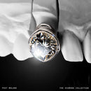 Post Malone - The Diamond Collection (Vinyle Neuf)