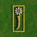 James - Nothing But Love: The Definitive Best Of (Vinyle Neuf)