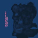 Pino Palladino / Blake Mills - That Wasnt A Dream (Vinyle Neuf)