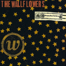 Wallflowers - Bring Down The Horse (Vinyle Neuf)