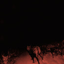 Bambara - Shadow On Everything (Vinyle Neuf)