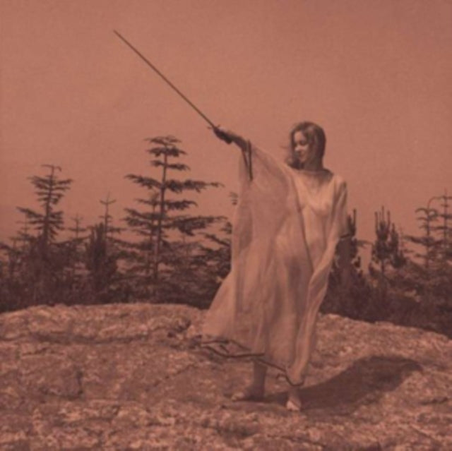 Unknown Mortal Orchestra - II (Vinyle Neuf)