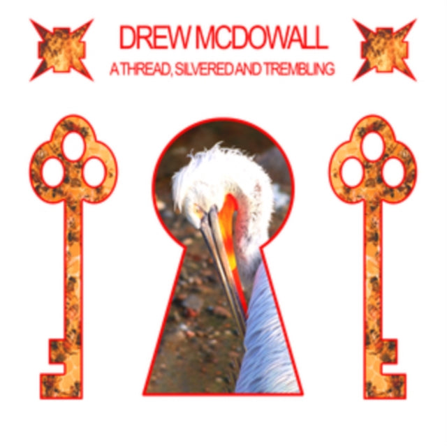 Drew Mcdowall - A Thread Silvered And Trembling (Vinyle Neuf)