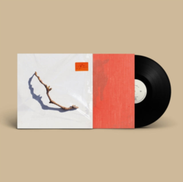 PJ Harvey - I Inside The Old Year Dying (Vinyle Neuf)