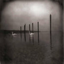 Om - Conference Of The Birds (Vinyle Neuf)