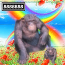 Bbbbbbb - Positive Violence (Vinyle Neuf)