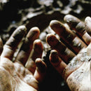 Dis Fig - What To Make Of These Mortal Hands (Vinyle Neuf)