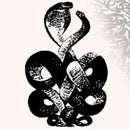 Bardo Pond - Volume 4 And 5 (Vinyle Neuf)