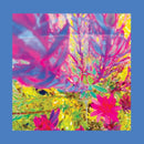 Reds Pinks And Purples - The Past Is A Garden I Never Fed (Vinyle Neuf)
