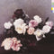 New Order - Power Corruption And Lies (Vinyle Neuf)