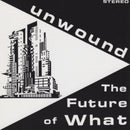 Unwound - The Future Of What (Vinyle Neuf)