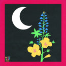 Summer Salt - Reside (Vinyle Neuf)