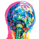 Mandy Indiana - Urgh (Indie) (Vinyle Neuf)