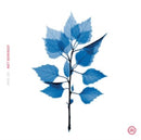 Matt Berninger - Get Sunk (Vinyle Neuf)