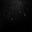 Warloghe - Logos Of All That Ends (Vinyle Neuf)