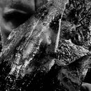 Taake - En Skog Av Nidstang (Vinyle Neuf)