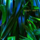 Anushka Chkheidze And Robert Lippok - Uncontrollable Thoughts (Vinyle Neuf)