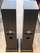 Acoustic Energy - AE 109