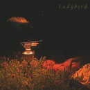Orca - Ladybird (Vinyle Neuf)