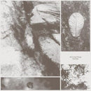 Park Jiha - All Living Things (Vinyle Neuf)