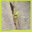 Booker Stardrum - Close-Up On The Outside (Vinyle Neuf)