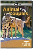 Film - Animal Odd Couples