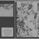 Clay Kin - Vevey (Vinyle Neuf)