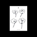 Lawrence - Poppies (Vinyle Neuf)