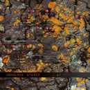 Monolake - Studio (Vinyle Neuf)