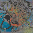 Josef Akin - Flightcase (Vinyle Neuf)