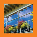 Pinks And Purples Reds - Still Clouds At Noon (Vinyle Neuf)