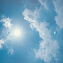 Noir Desir - 666667 Club (Vinyle Neuf)