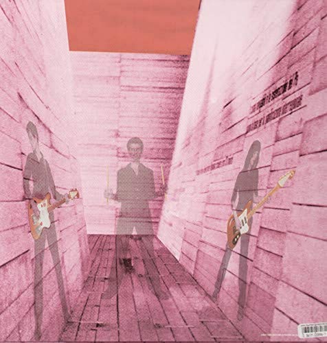 Blonde Redhead - In An Expression Of The Inexpressible (Vinyle Neuf)