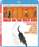 Film - Walk On The Wild Side
