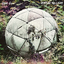 Steve Gunn - Eyes On The Line (Vinyle Neuf)