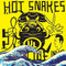 Hot Snakes - Suicide Invoice (Vinyle Neuf)