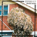 Surprise Chef - Daylight Savings (Vinyle Neuf)