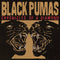 Black Pumas - Chronicles Of A Diamond (Vinyle Neuf)